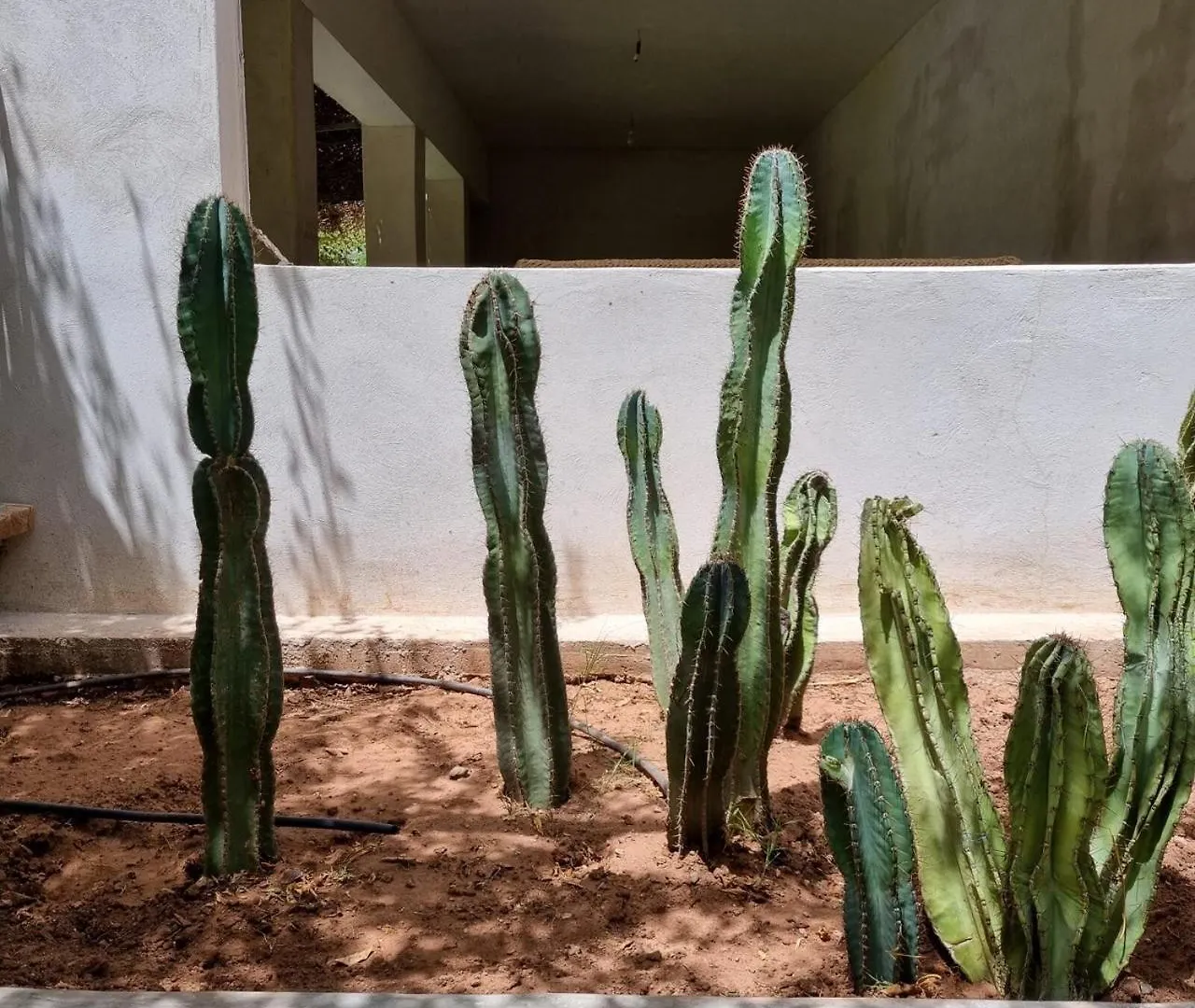 Maison Noun Marrakesh 0*,